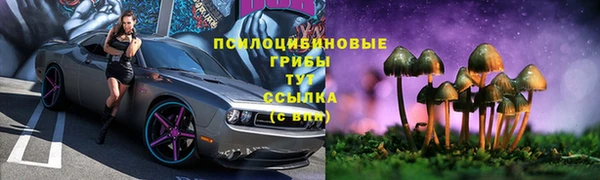 твердый Алзамай