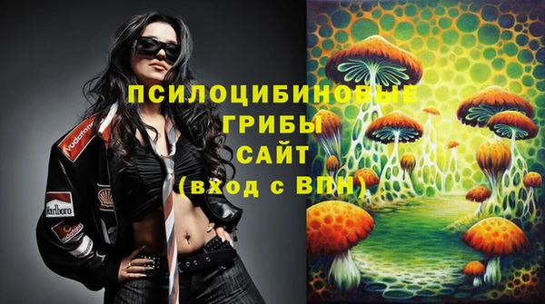 МДПВ Алексеевка