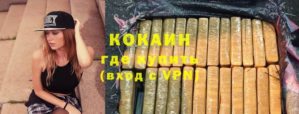 твердый Алзамай