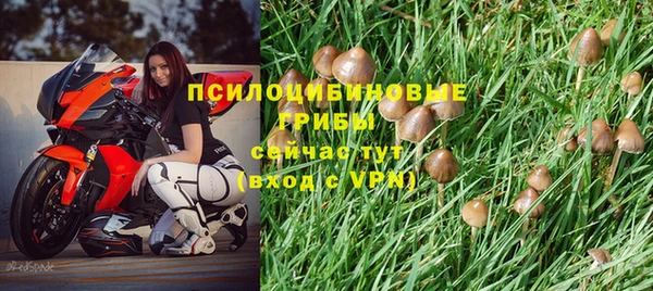 винт Алексин