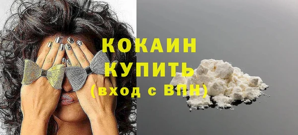 соль ск Абаза