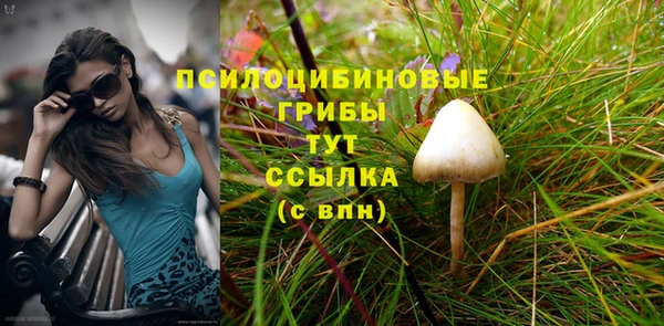 твердый Алзамай