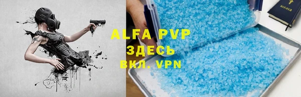 винт Алексин