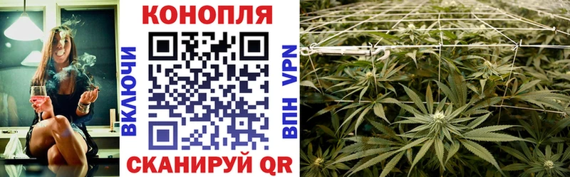 Бошки марихуана индика  Тихвин 